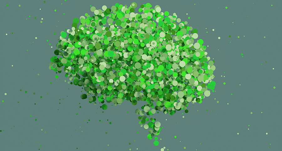 illustration of a green brain, representing sustainability